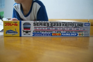 233-2.jpg